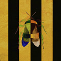 Bee, Cuz